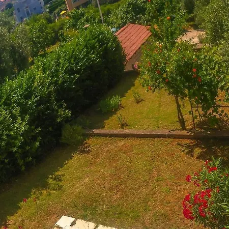 Stefanija, Vinkuran